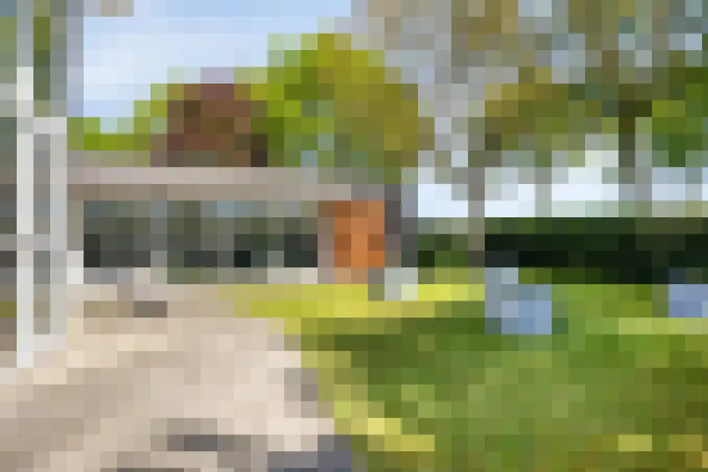 Gerst 27 Mierlo thumbnail 40