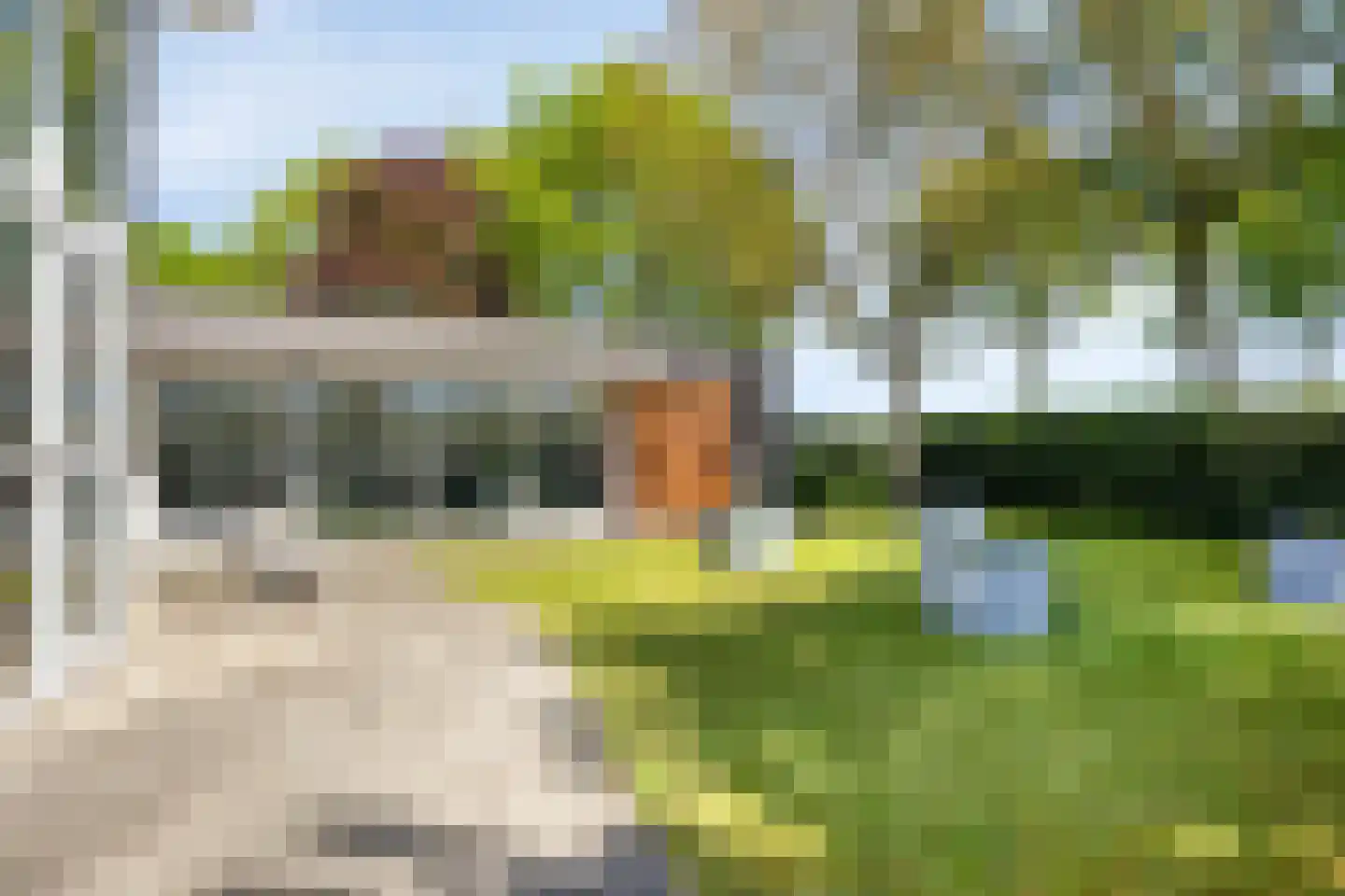Gerst 27 Mierlo thumbnail 40