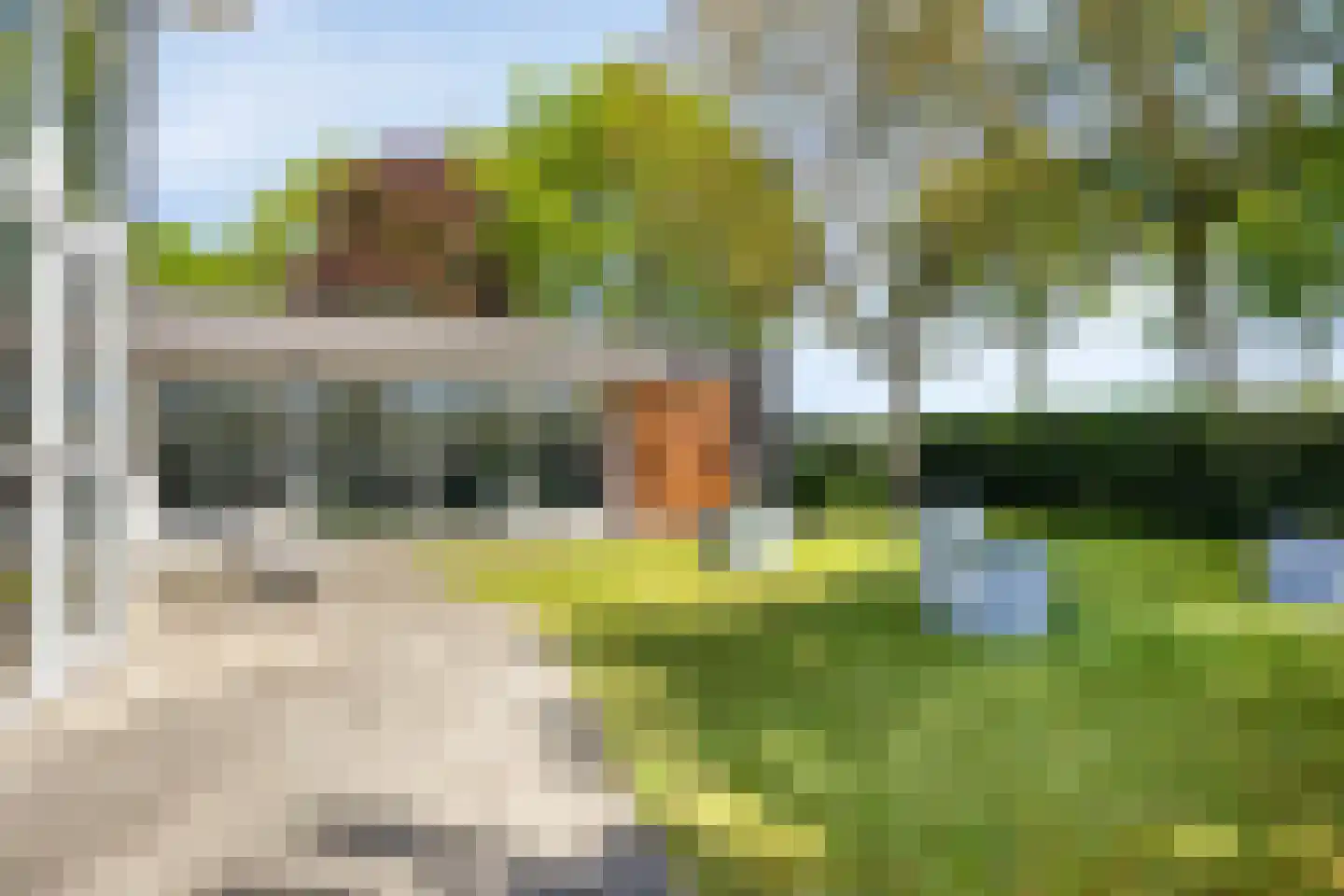 Gerst 27 Mierlo thumbnail 40