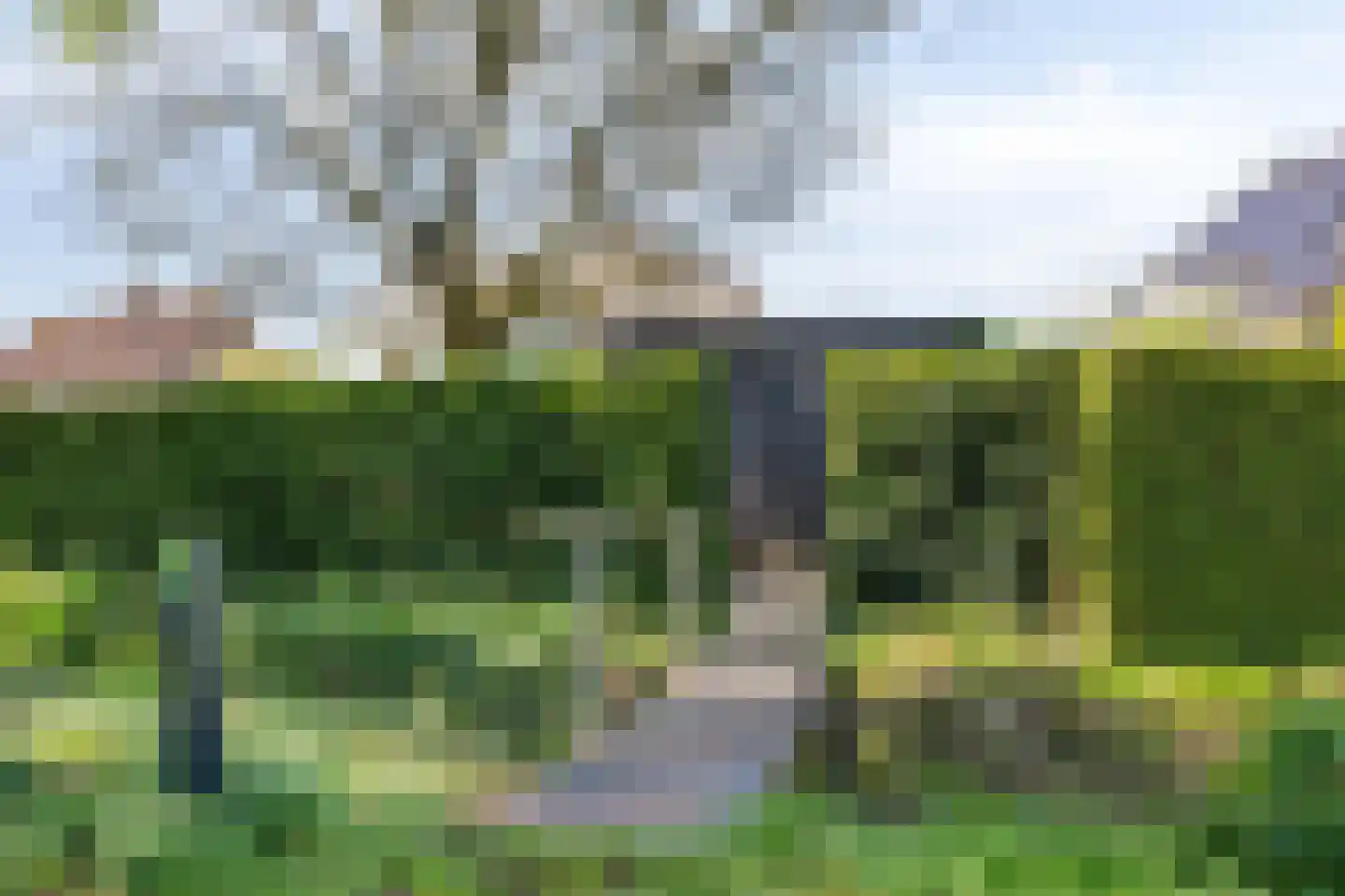 Gerst 27 Mierlo thumbnail 45