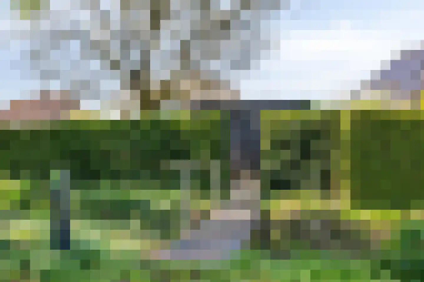Gerst 27 Mierlo thumbnail 45