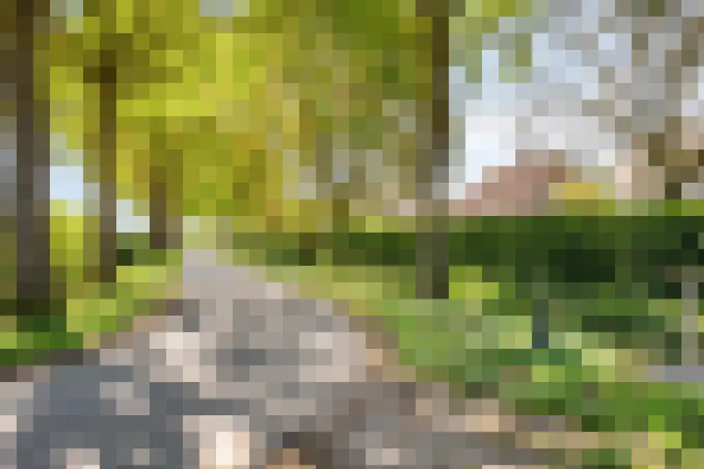 Gerst 27 Mierlo thumbnail 47