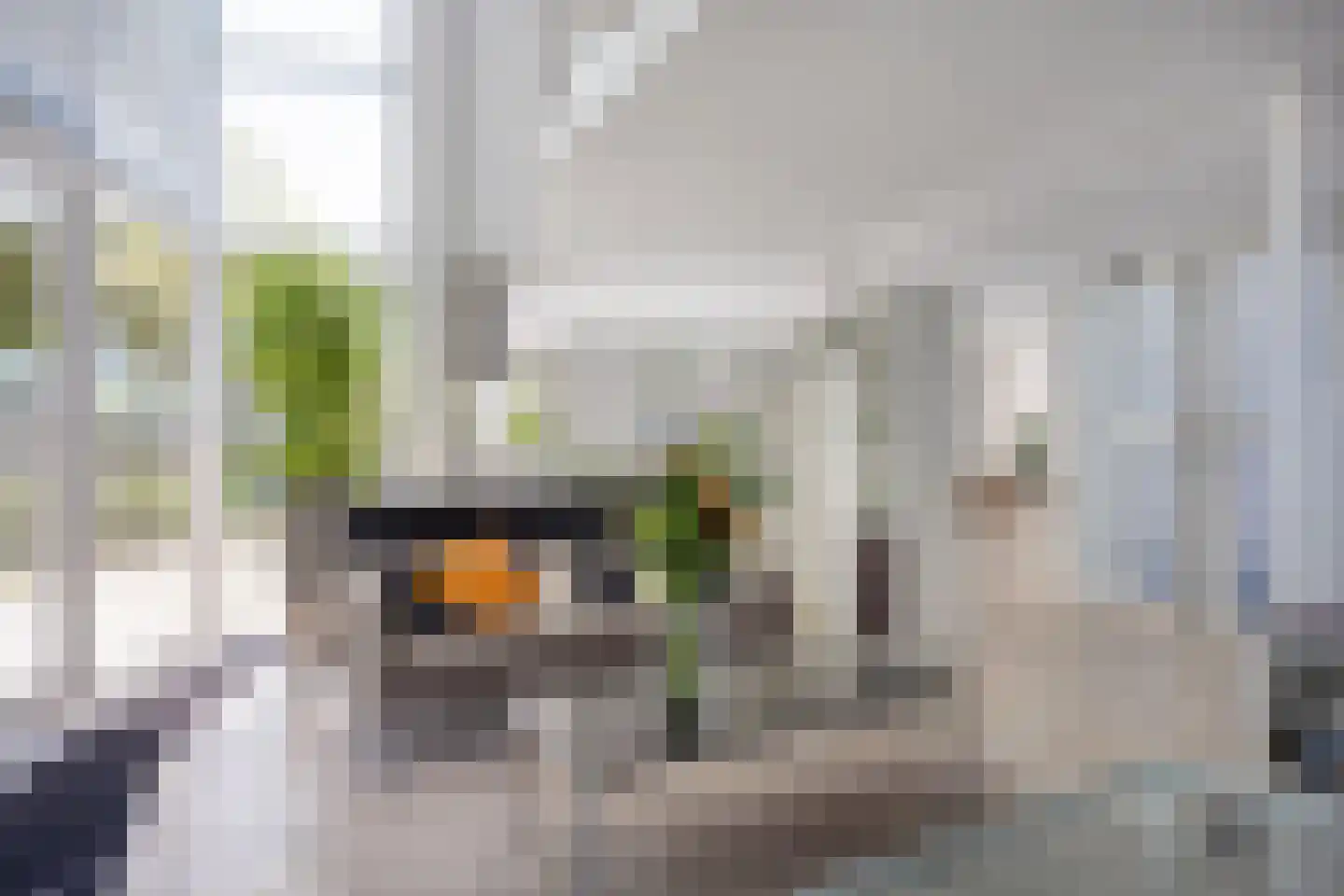 Gerst 27 Mierlo thumbnail 8