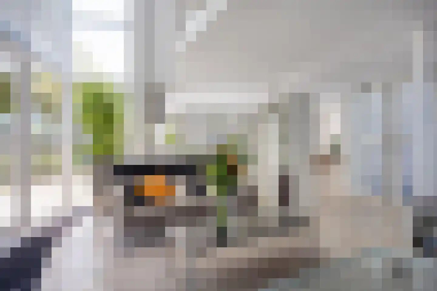 Gerst 27 Mierlo thumbnail 8
