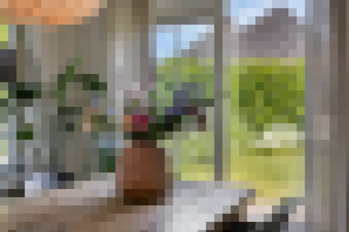 Gerst 5 Ruurlo thumbnail 13