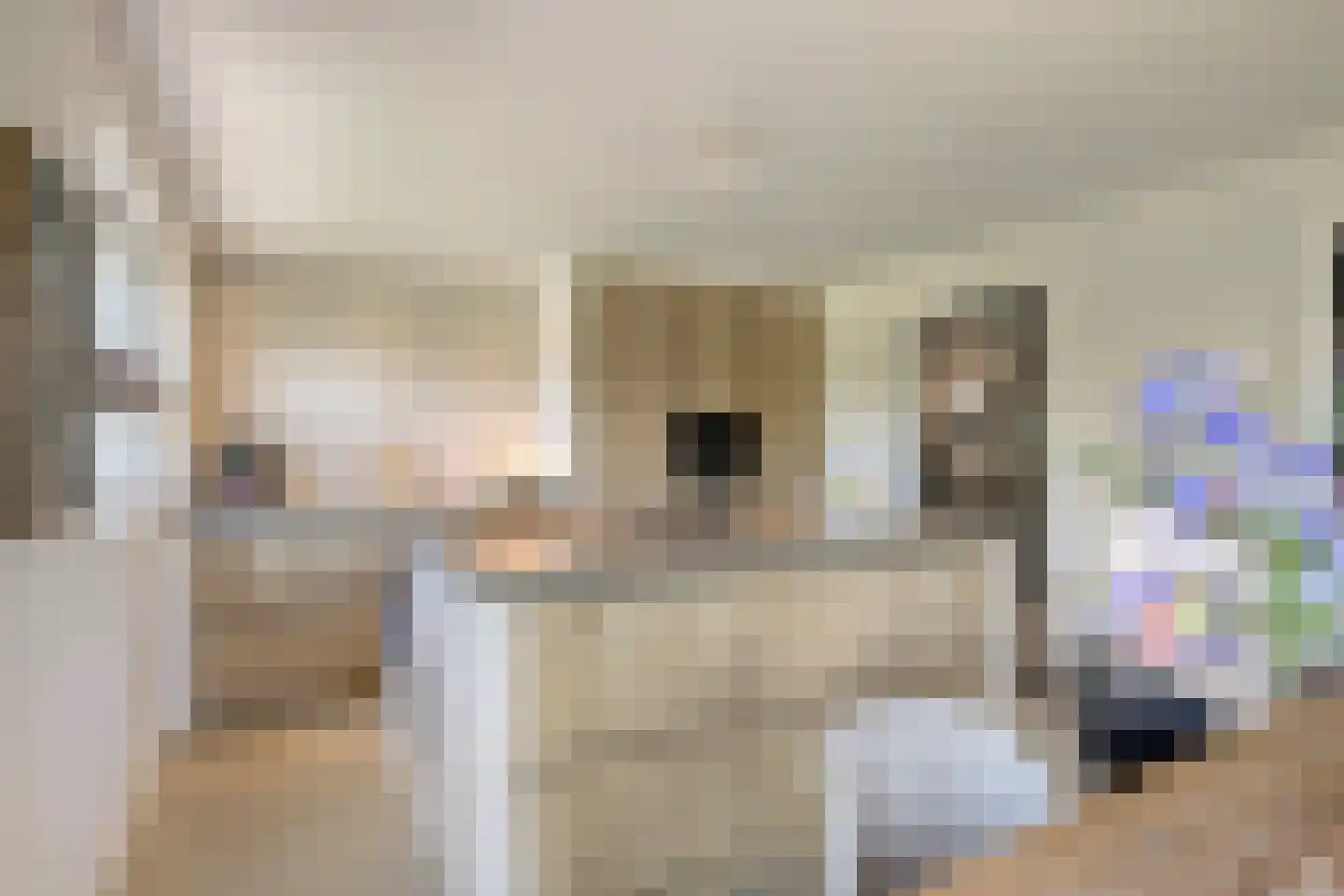 Gerst 5 Ruurlo thumbnail 14