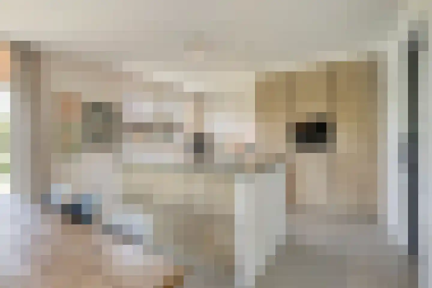 Gerst 5 Ruurlo thumbnail 15