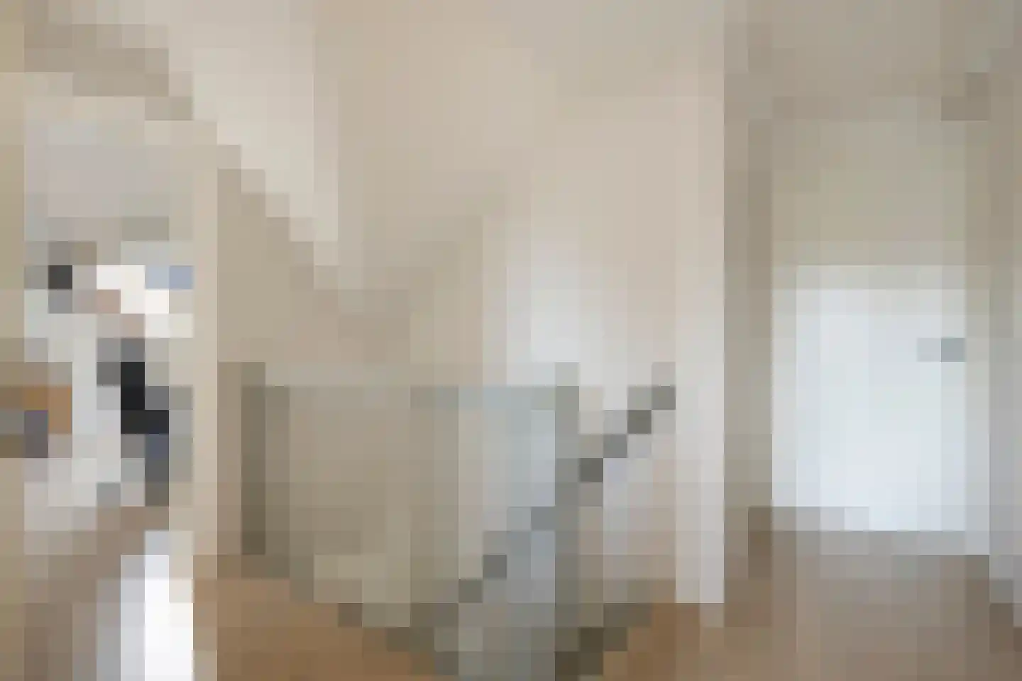 Gerst 5 Ruurlo thumbnail 38
