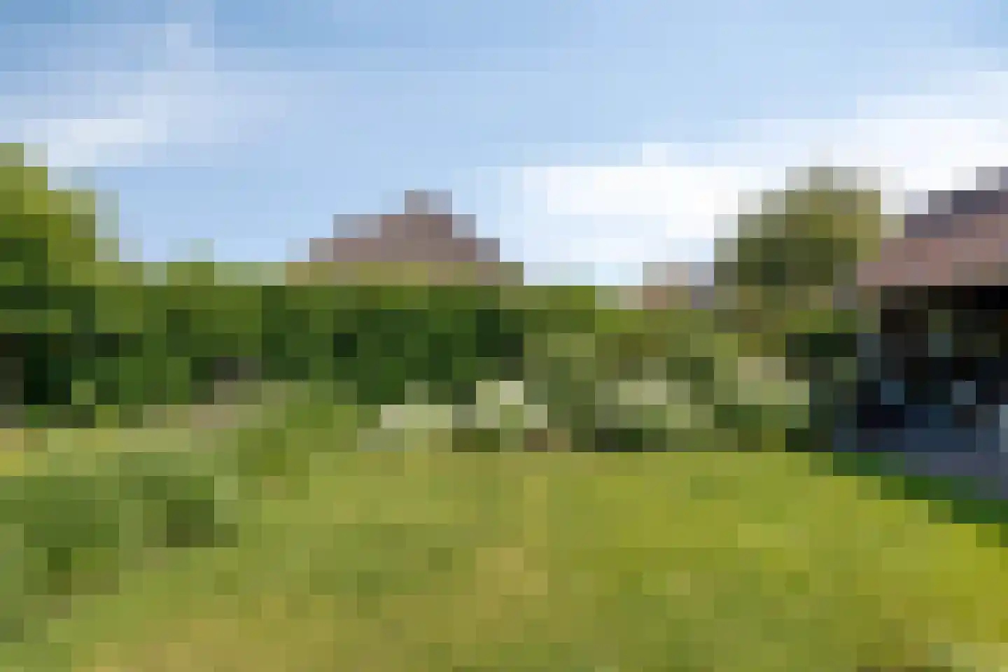 Gerst 5 Ruurlo thumbnail 46