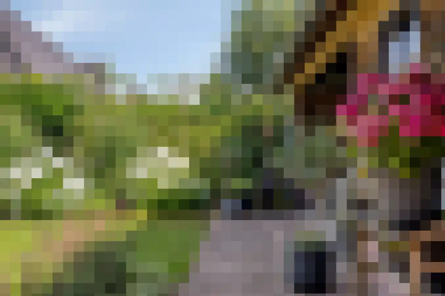 Gerst 5 Ruurlo thumbnail 48