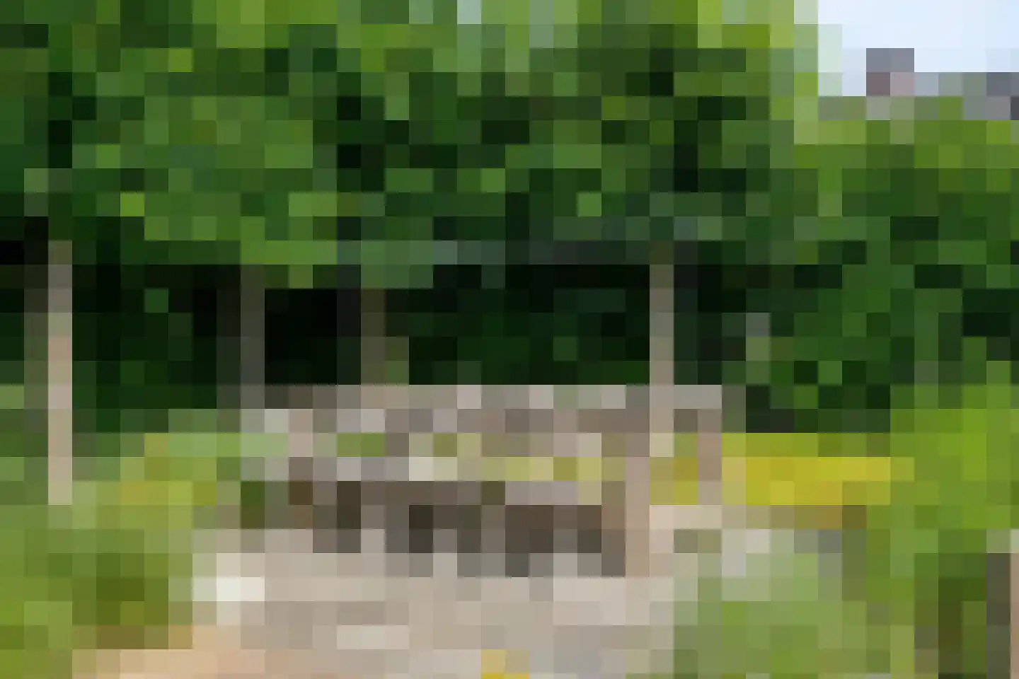 Gerst 5 Ruurlo thumbnail 49