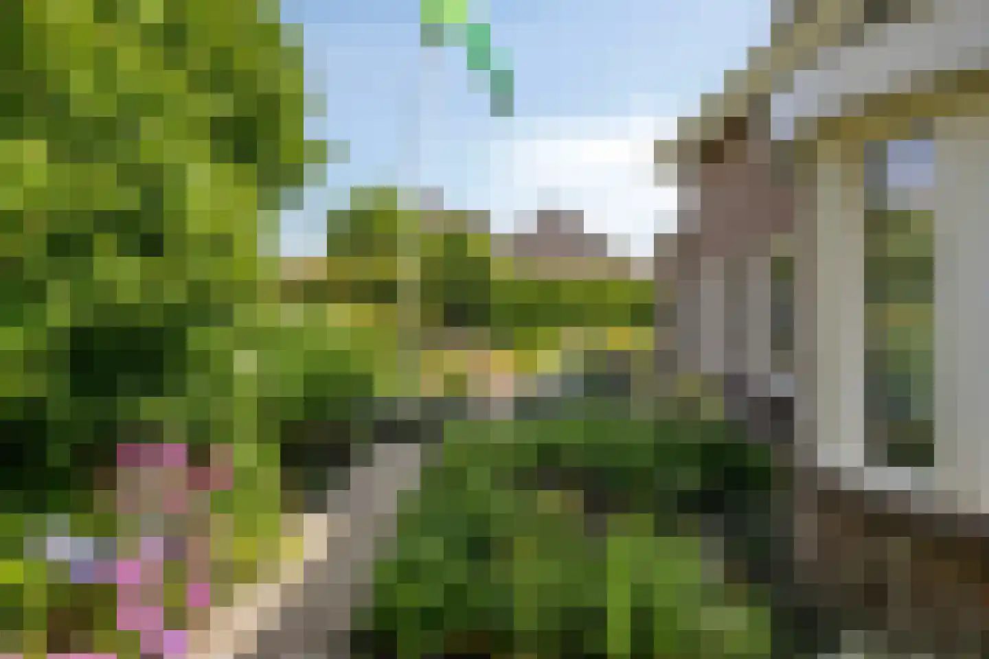 Gerst 5 Ruurlo thumbnail 51