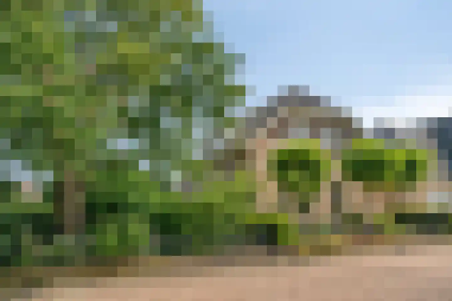 Gerst 5 Ruurlo thumbnail 55