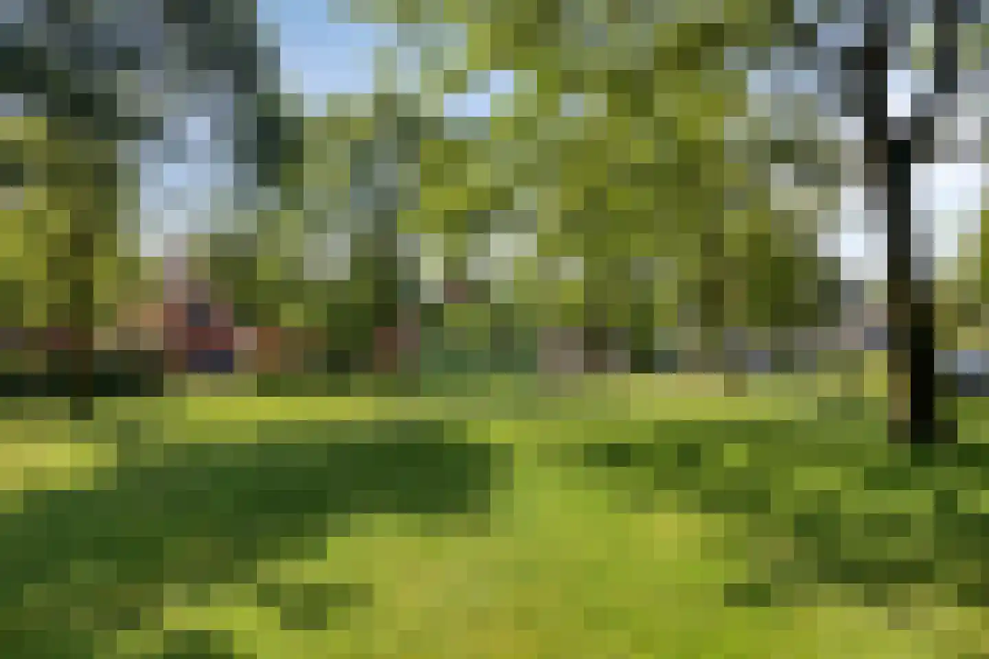 Gerst 5 Ruurlo thumbnail 57