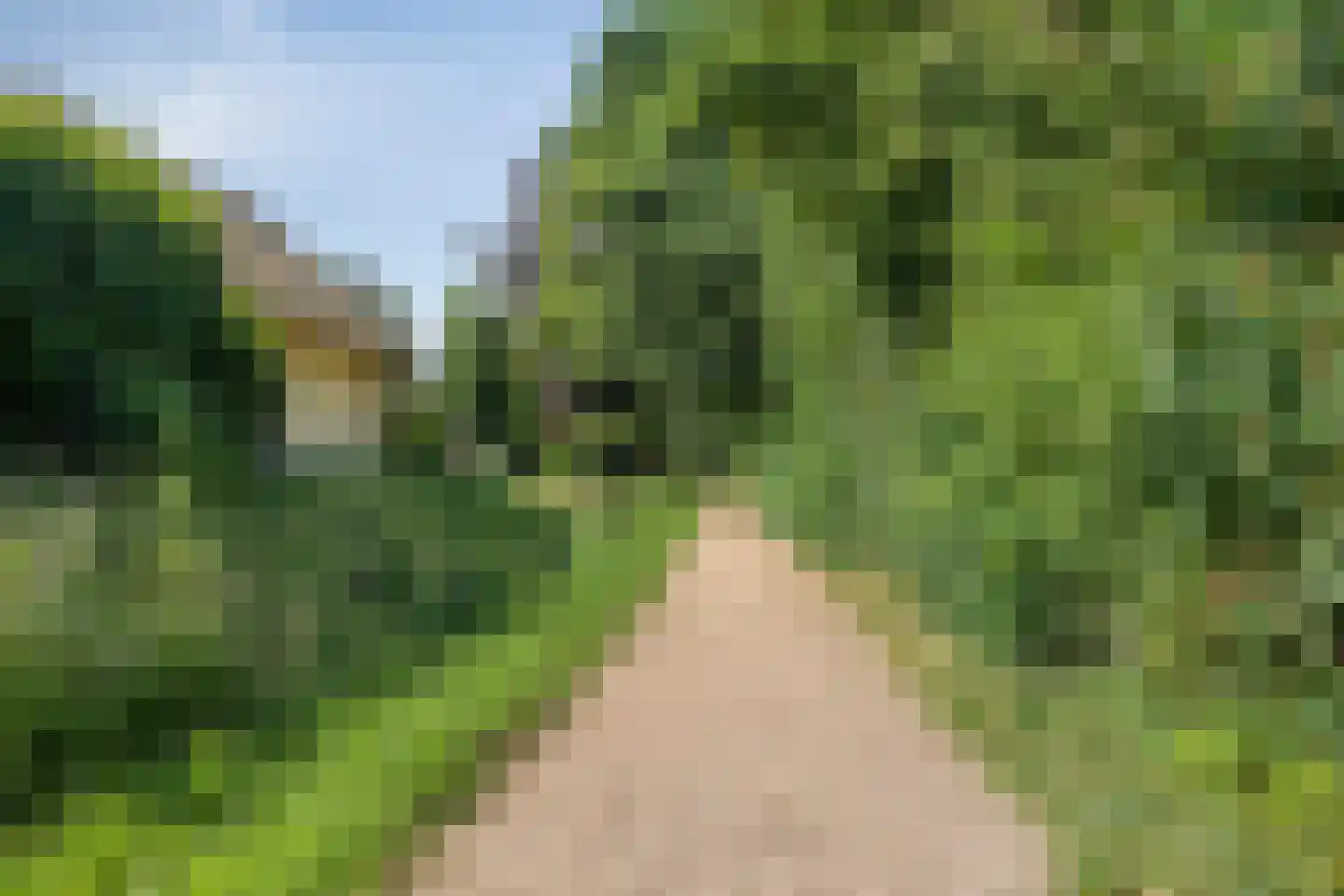 Gerst 5 Ruurlo thumbnail 58