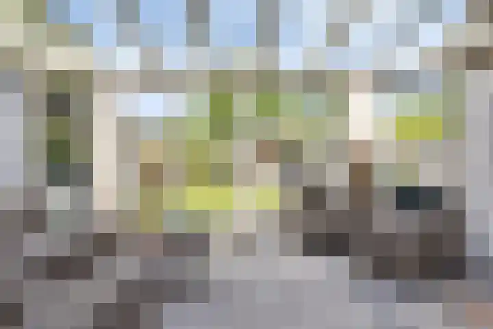 Gerst 7 Mierlo thumbnail 17