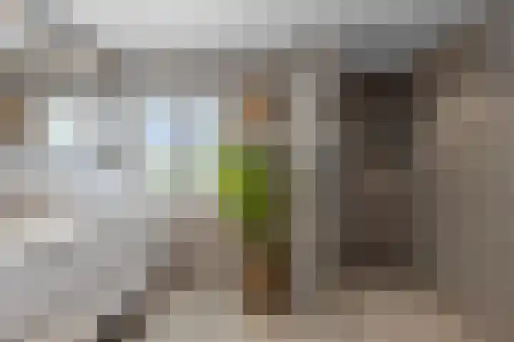 Gerst 7 Mierlo thumbnail 31