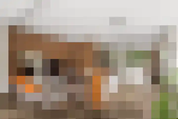 Gerstacker 1 Veldhoven thumbnail 10