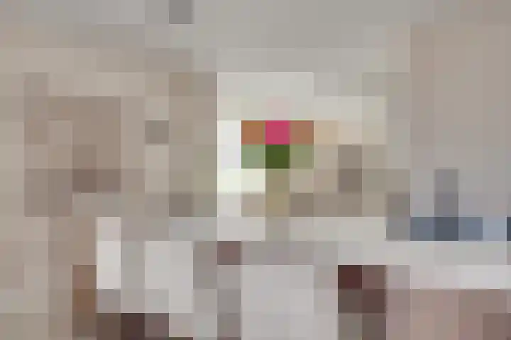 Gerstacker 1 Veldhoven thumbnail 11