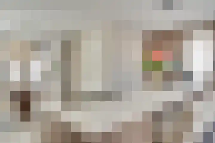 Gerstacker 1 Veldhoven thumbnail 13