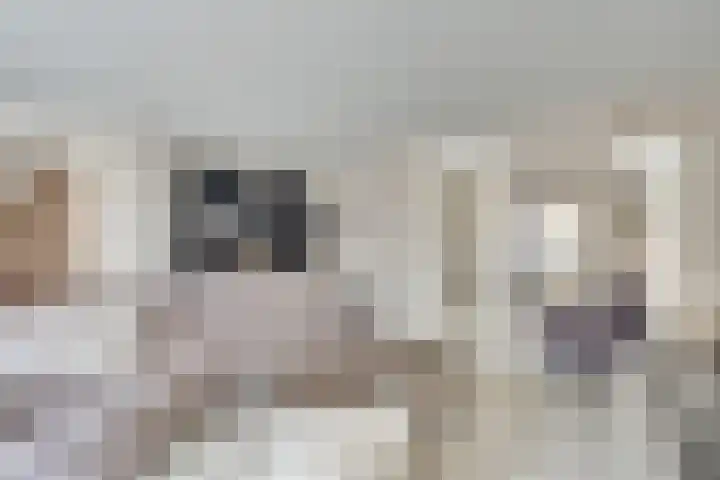 Gerstacker 1 Veldhoven foto 2