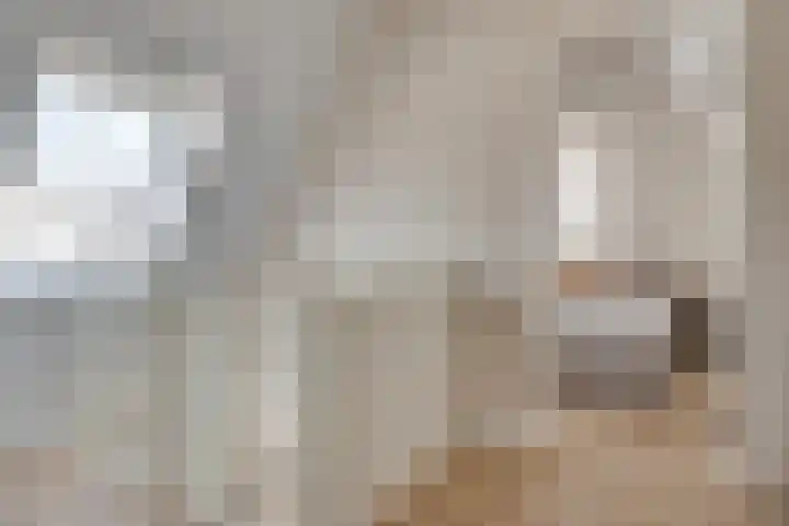 Gerstacker 1 Veldhoven thumbnail 26