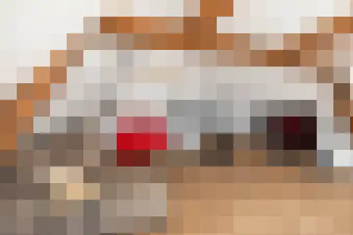 Gerstacker 1 Veldhoven foto 3