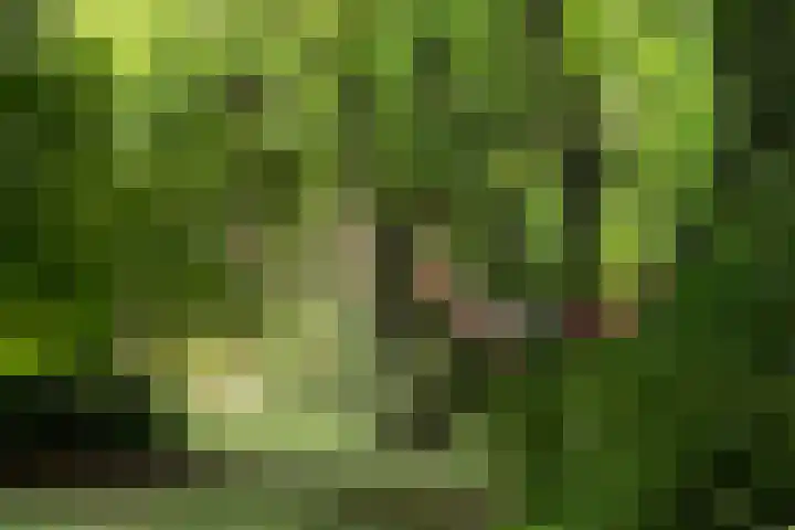 Gerstacker 1 Veldhoven thumbnail 32