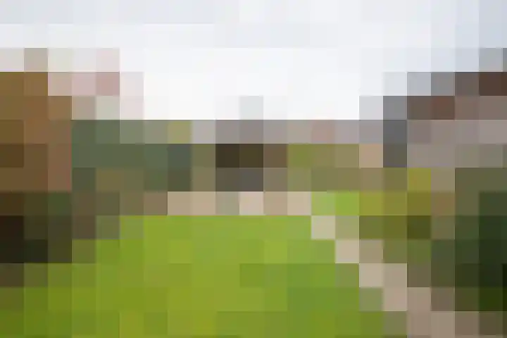 Gerstacker 1 Veldhoven thumbnail 38