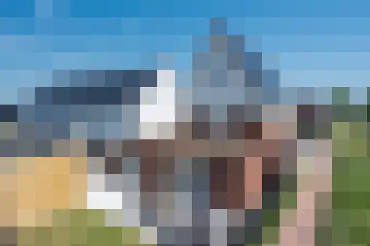 Gerstacker 1 Veldhoven thumbnail 39