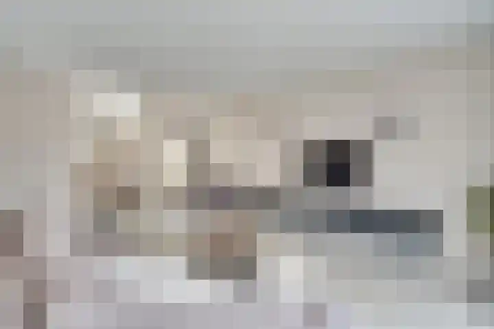 Gerstacker 1 Veldhoven thumbnail 5