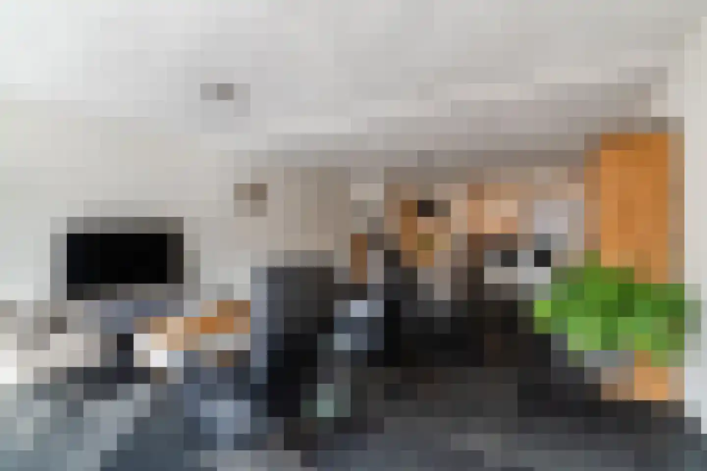Gerstakker 16 Hilvarenbeek thumbnail 10