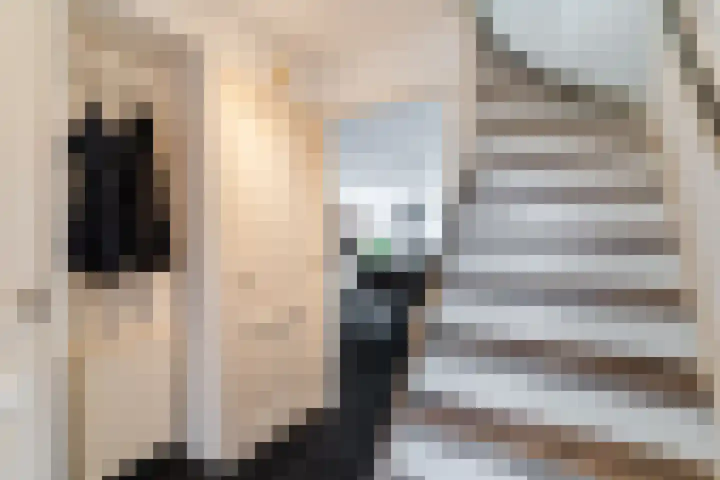 Gerstakker 16 Hilvarenbeek thumbnail 19