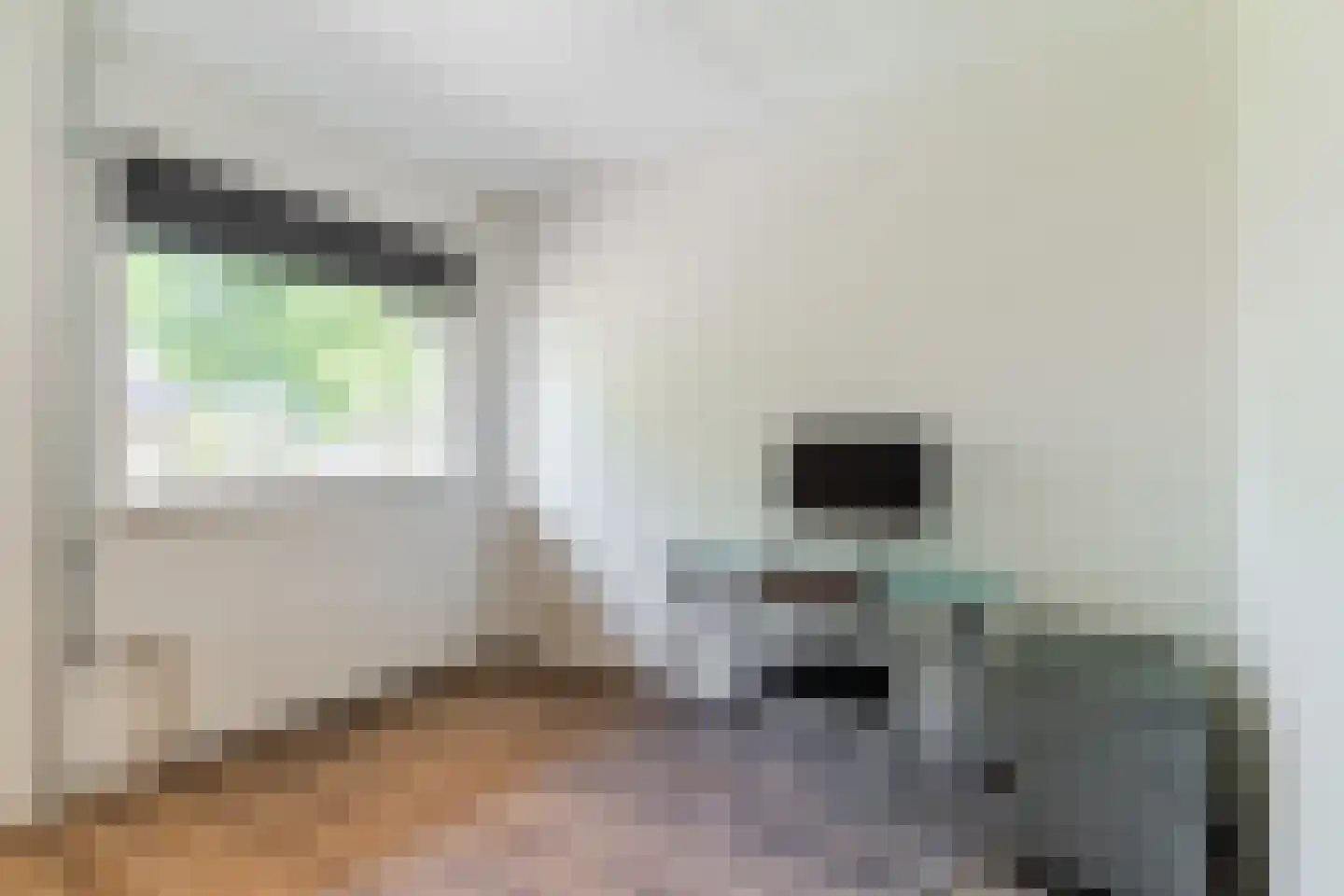 Gerstakker 16 Hilvarenbeek thumbnail 20