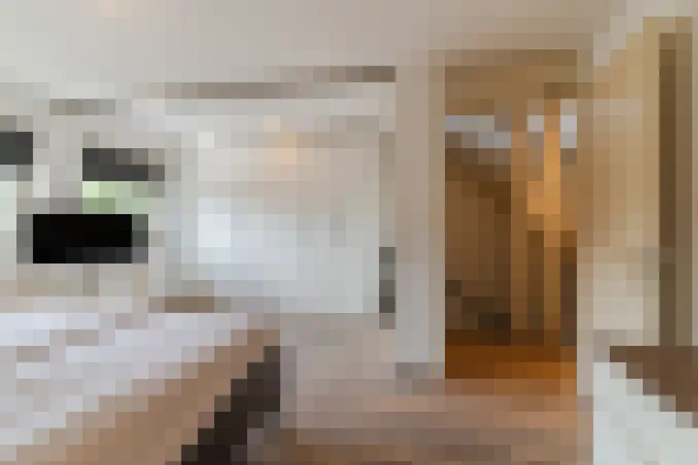 Gerstakker 16 Hilvarenbeek thumbnail 25