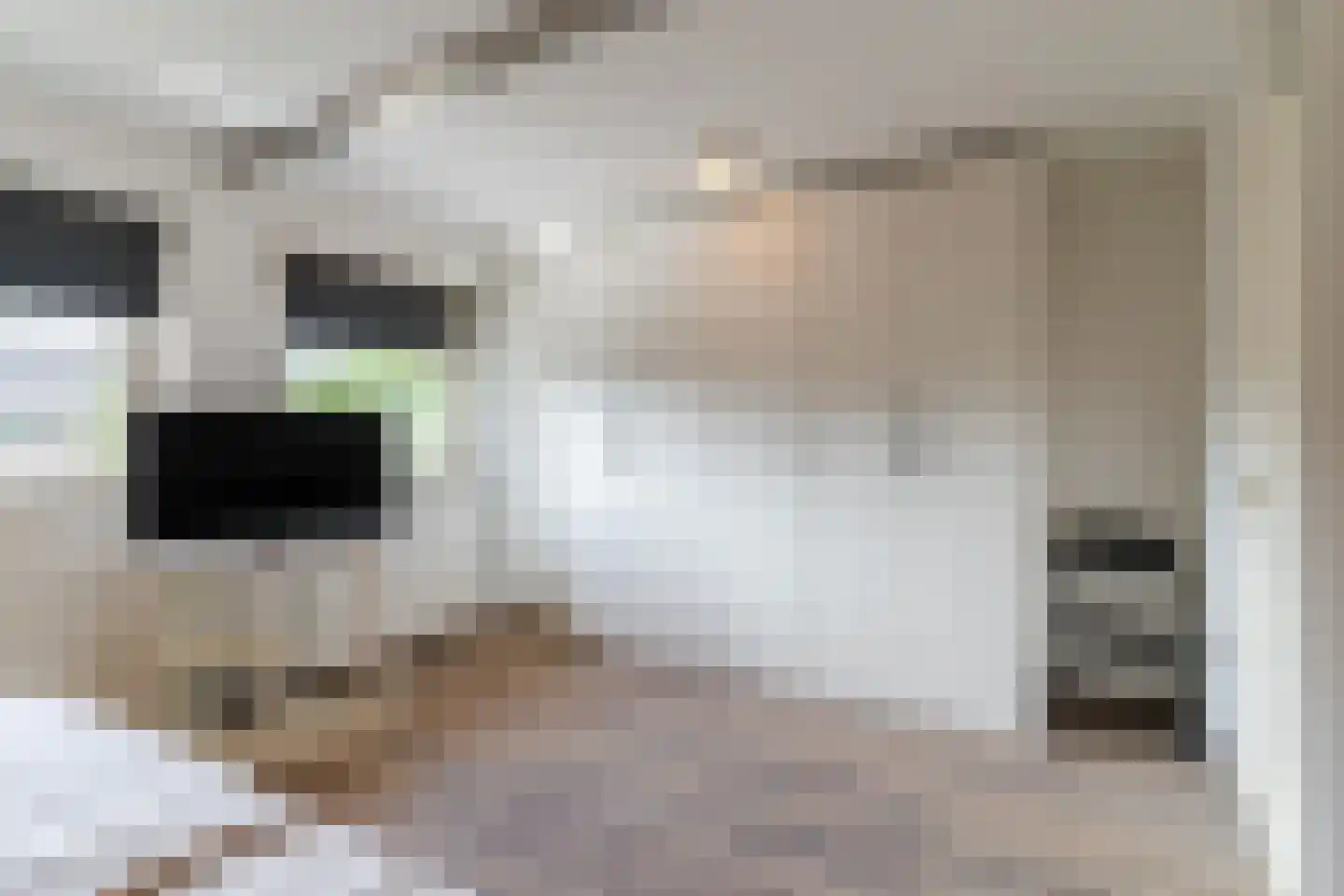 Gerstakker 16 Hilvarenbeek thumbnail 26