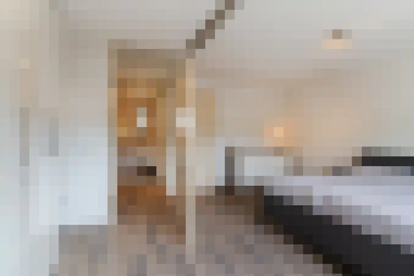 Gerstakker 16 Hilvarenbeek thumbnail 28