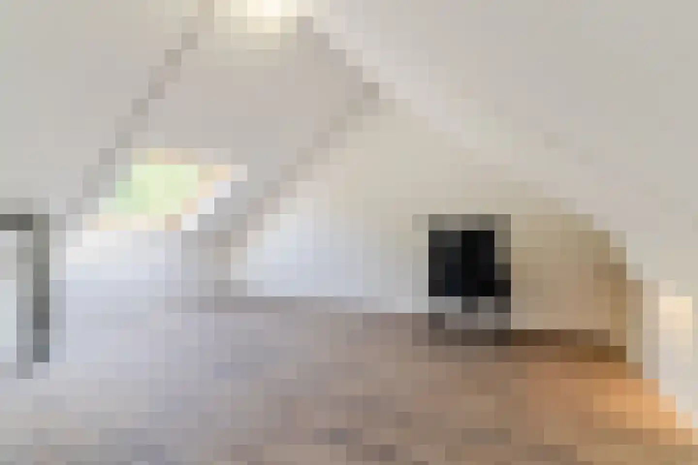 Gerstakker 16 Hilvarenbeek thumbnail 37