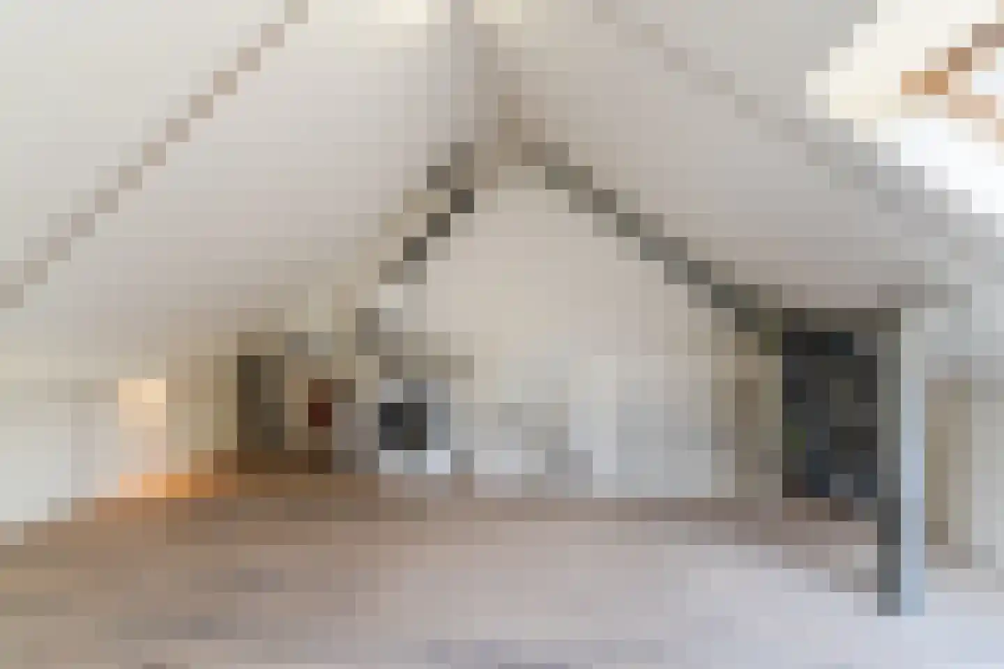 Gerstakker 16 Hilvarenbeek thumbnail 39