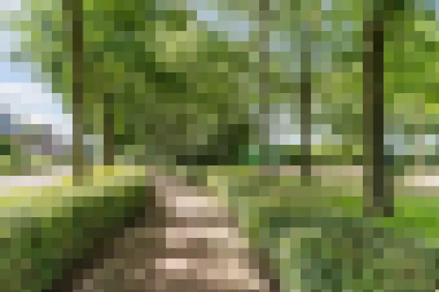 Gerstakker 16 Hilvarenbeek thumbnail 55
