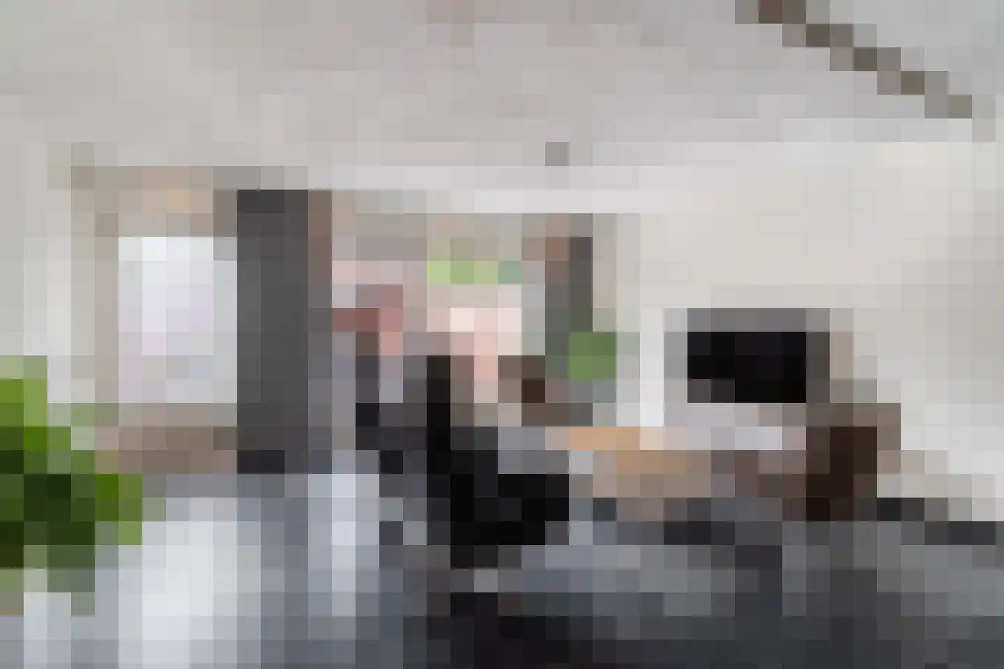 Gerstakker 16 Hilvarenbeek thumbnail 6