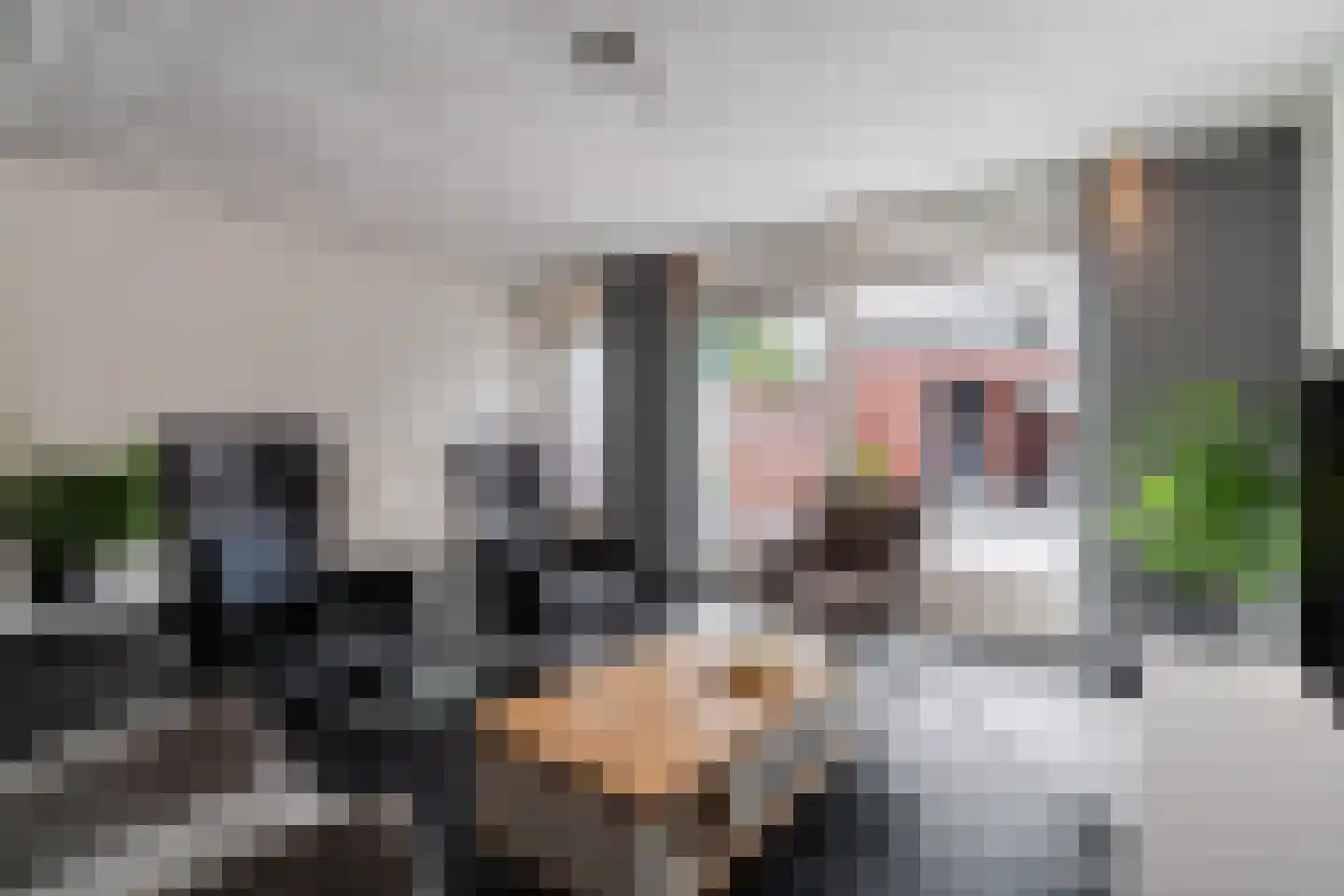 Gerstakker 16 Hilvarenbeek thumbnail 8