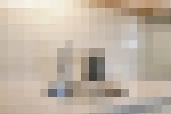 Gerstakker 18 Zoetermeer thumbnail 18