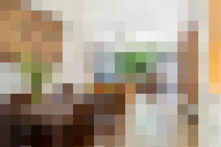 Gerstakker 18 Zoetermeer thumbnail 19