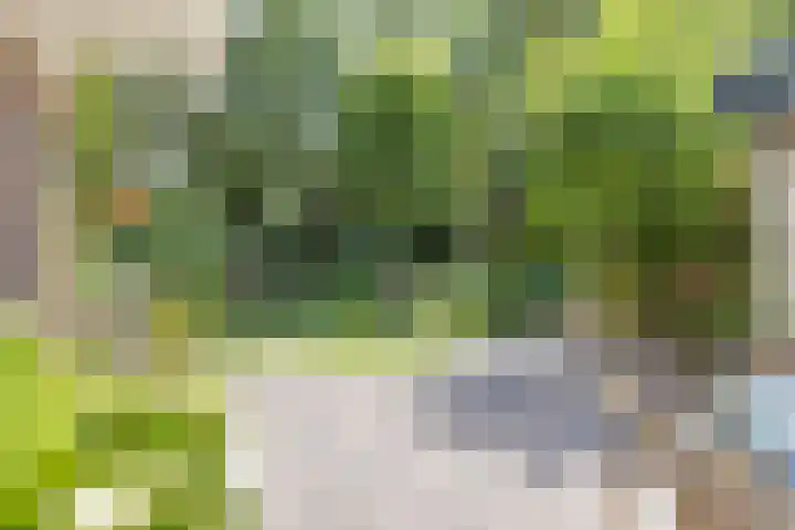 Gerstakker 18 Zoetermeer thumbnail 23