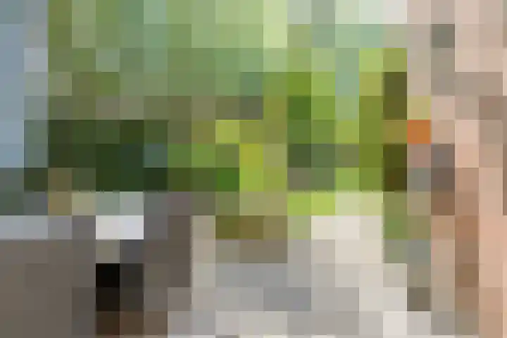 Gerstakker 18 Zoetermeer thumbnail 25