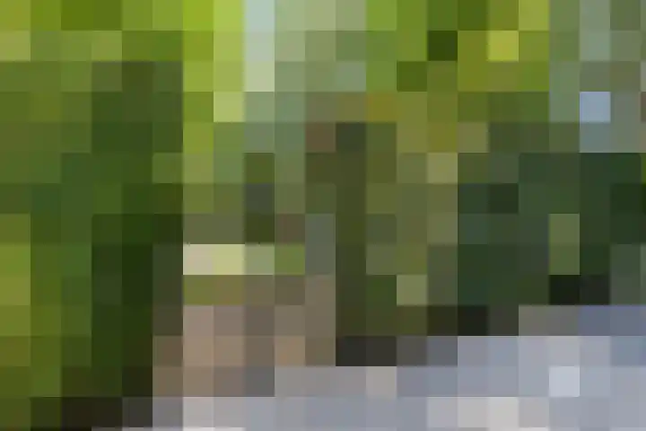 Gerstakker 18 Zoetermeer thumbnail 26