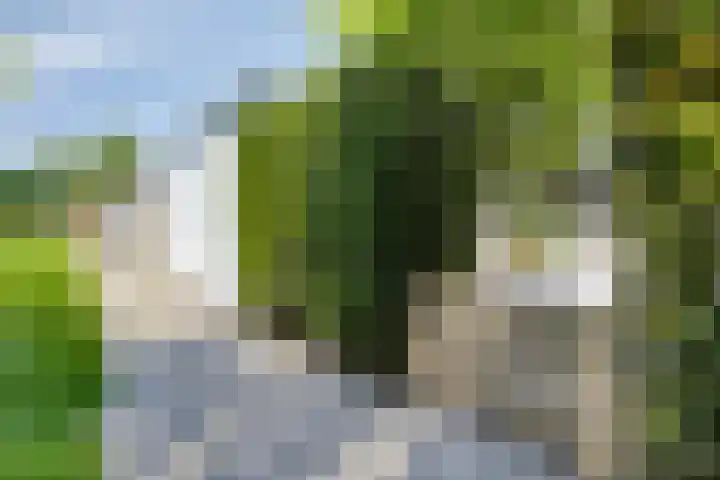 Gerstakker 18 Zoetermeer thumbnail 27