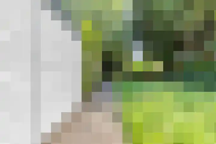 Gerstakker 18 Zoetermeer thumbnail 28