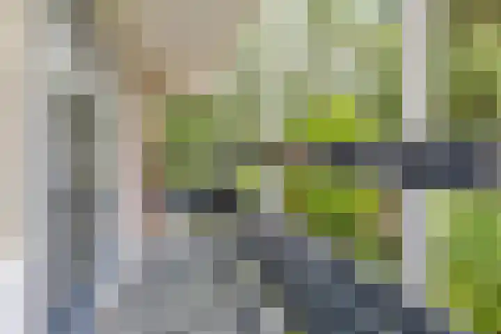 Gerstakker 18 Zoetermeer thumbnail 34